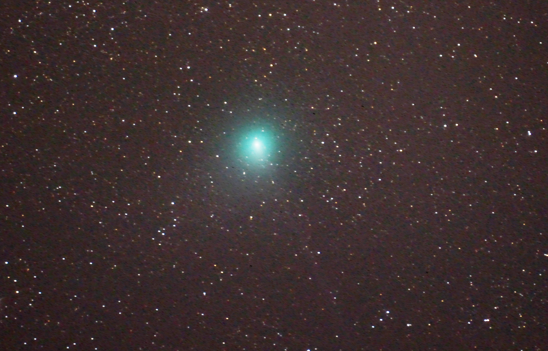 Komet jackques martno na Pohorju 20140828-2